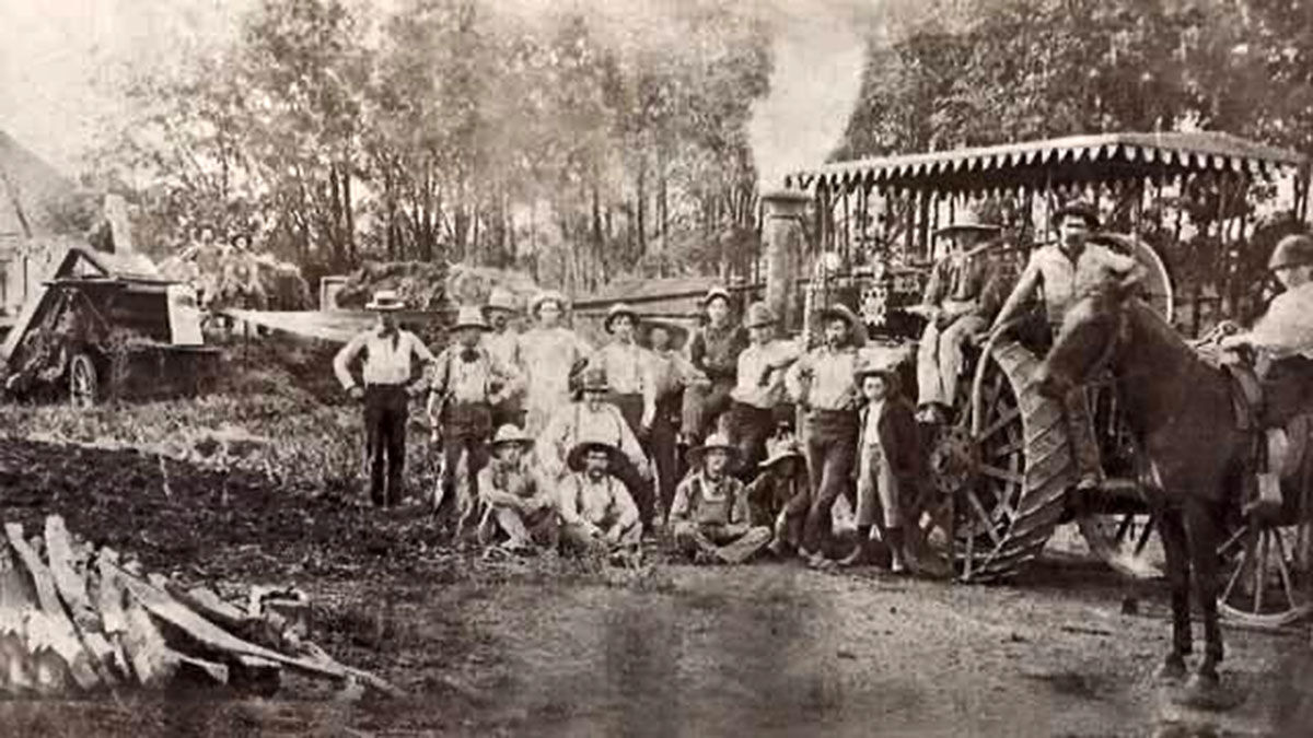 Toohill vintage threshing photo